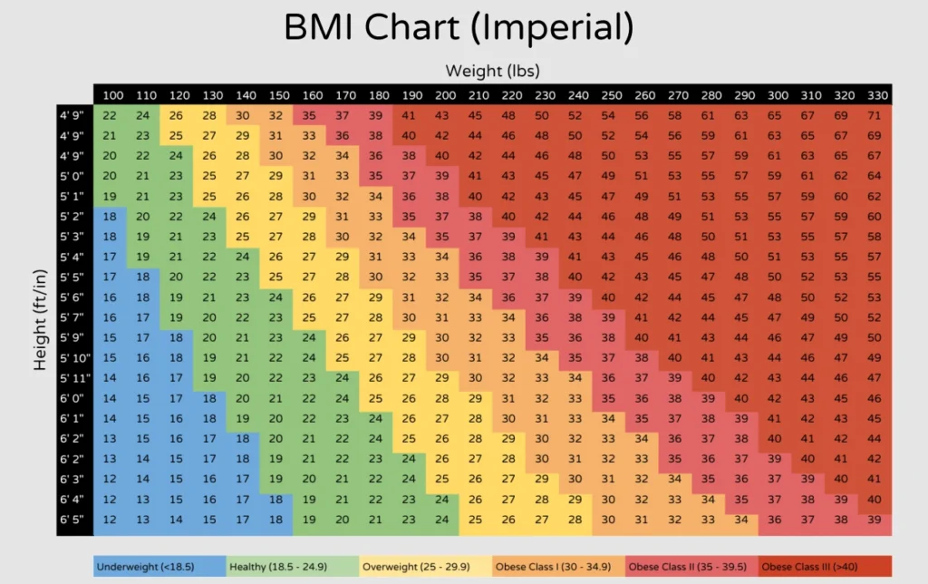 bmi rechner