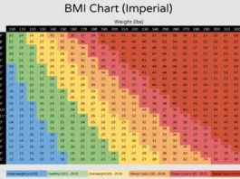 bmi rechner